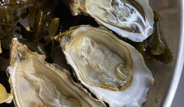 chezjanie_roscoff_huitres chezjanie_roscoff_huitres